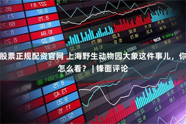 股票正规配资官网 上海野生动物园大象这件事儿，你怎么看？ | 锋面评论