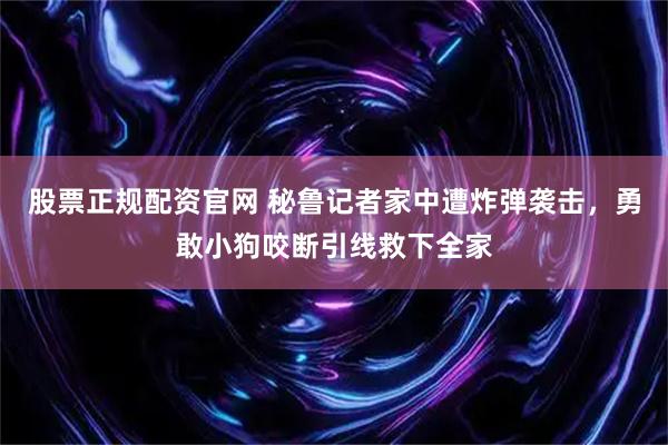 股票正规配资官网 秘鲁记者家中遭炸弹袭击，勇敢小狗咬断引线救下全家