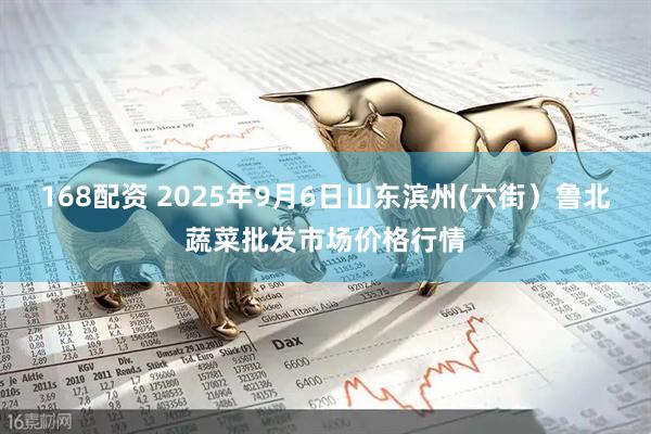 168配资 2025年9月6日山东滨州(六街）鲁北蔬菜批发市场价格行情