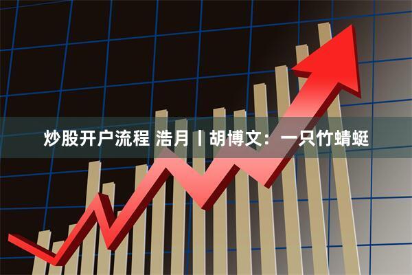 炒股开户流程 浩月丨胡博文：一只竹蜻蜓