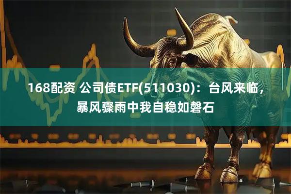 168配资 公司债ETF(511030)：台风来临，暴风骤雨中我自稳如磐石